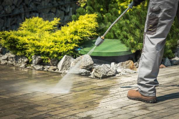 Animal Enclosure Cleaning in Canal Winchester, OH